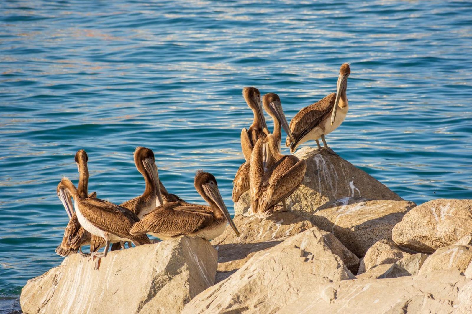 Morro Bay Beach Inn 外观 照片