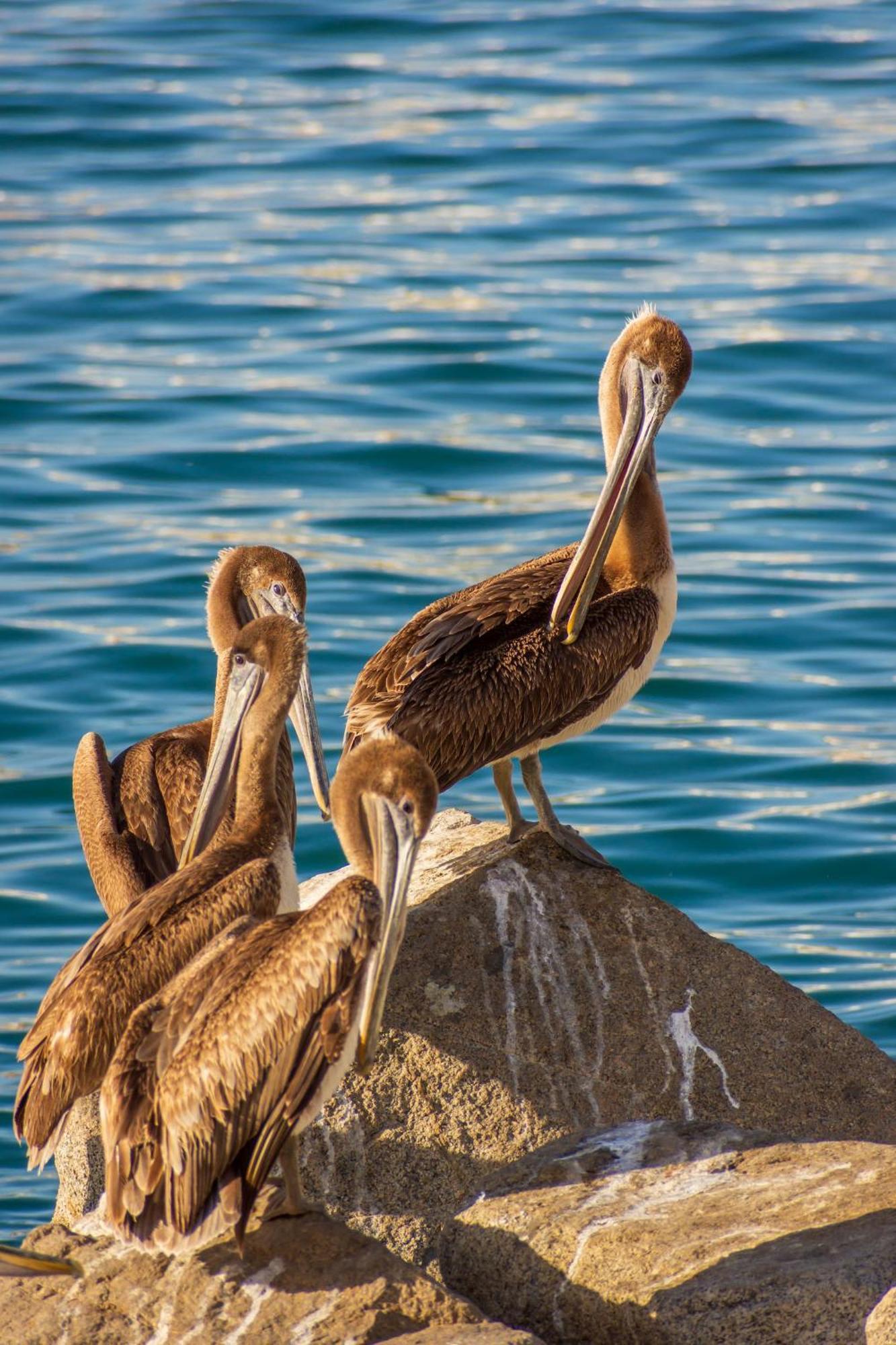 Morro Bay Beach Inn 外观 照片